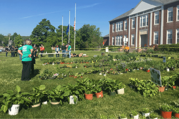 The Bethel Grapevine :: The Bethel Garden Club